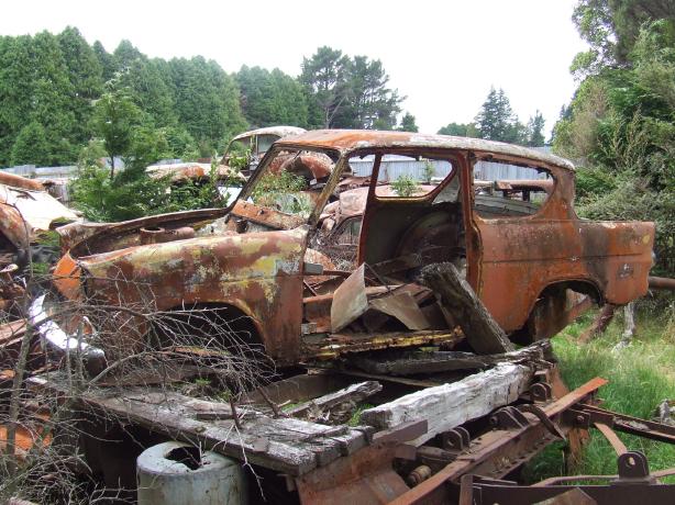 Horopito Car 6