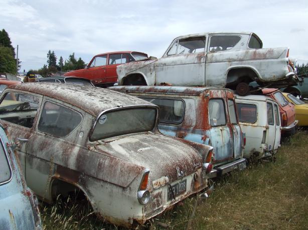 Horopito Car 7