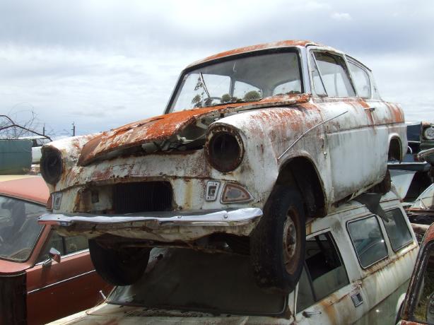 Horopito Car 9