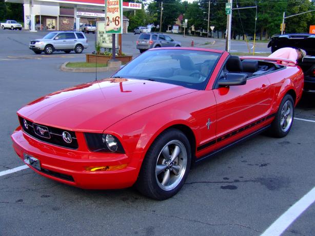 Mustang