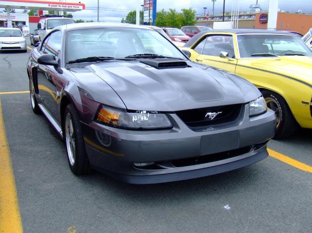 Mustang