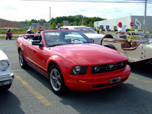 Mustang