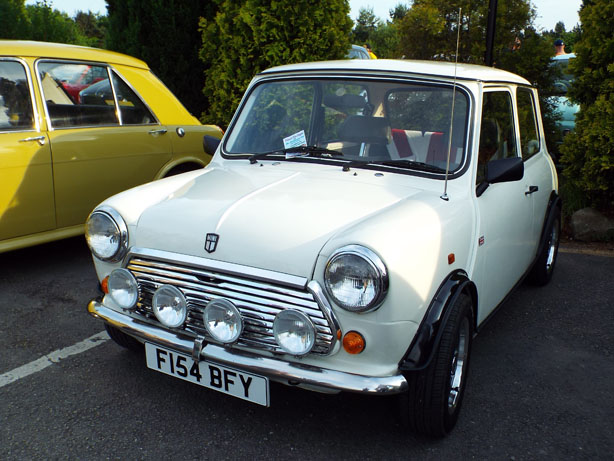 Mini