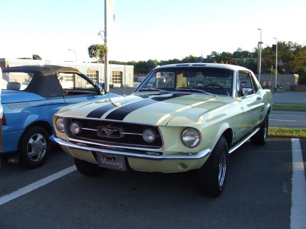 Mustang