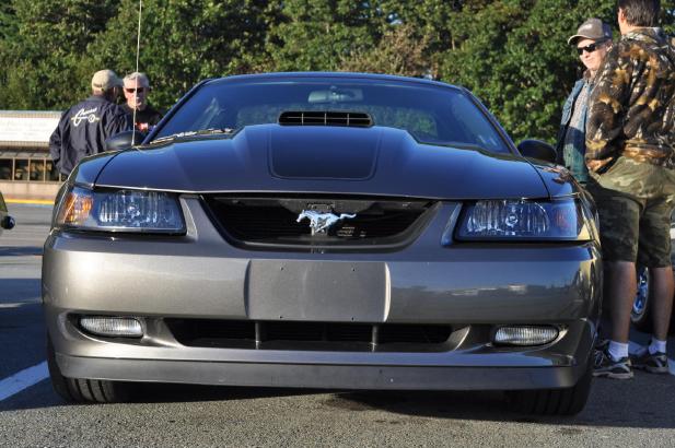 Mustang