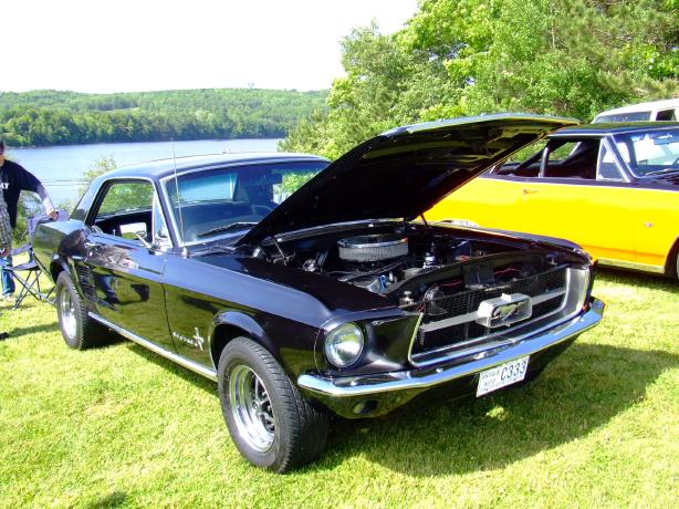 Mustang