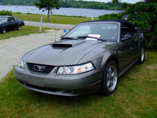 Mustang