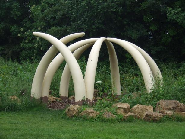 Park