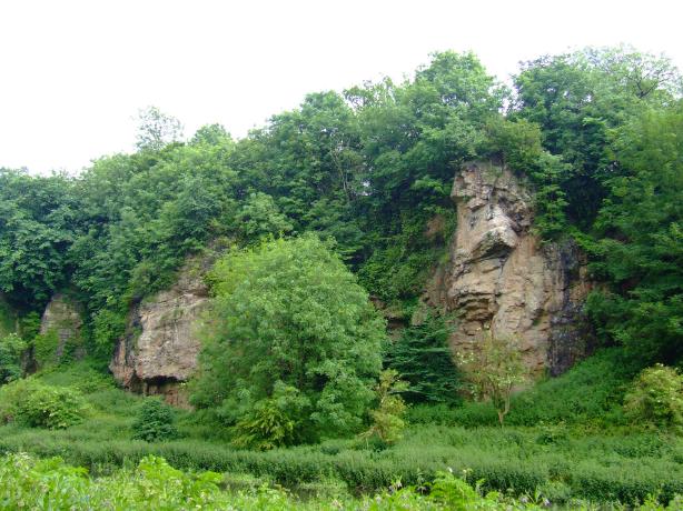 Park