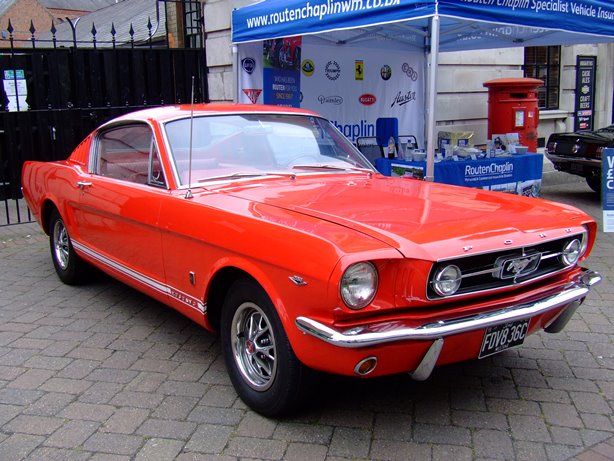 Mustang