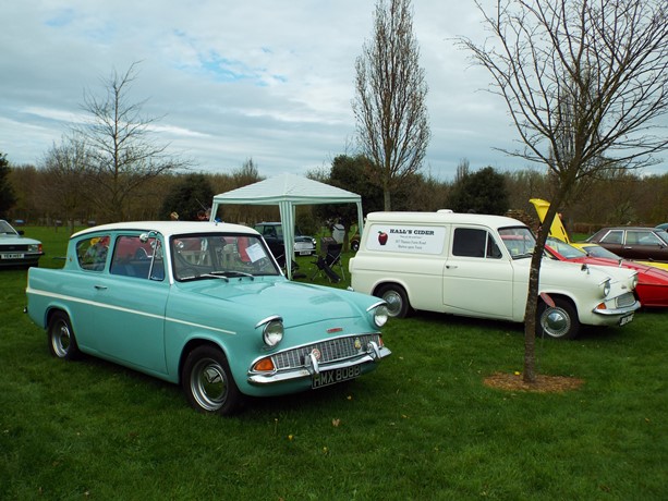 Anglia Stand