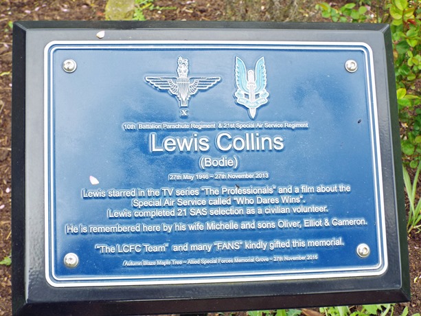 Plaque