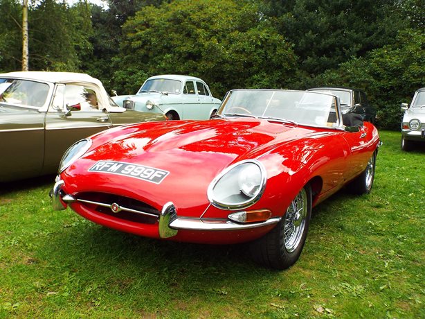 Jaguar