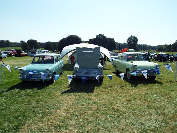 Anglia Stand