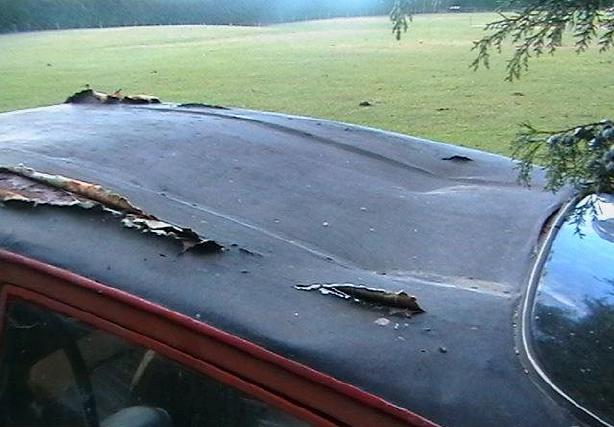 Anglia Roof