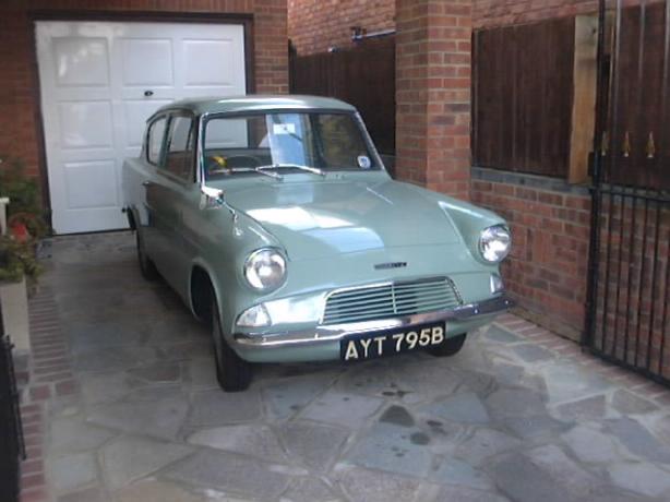 Spruce Green Anglia